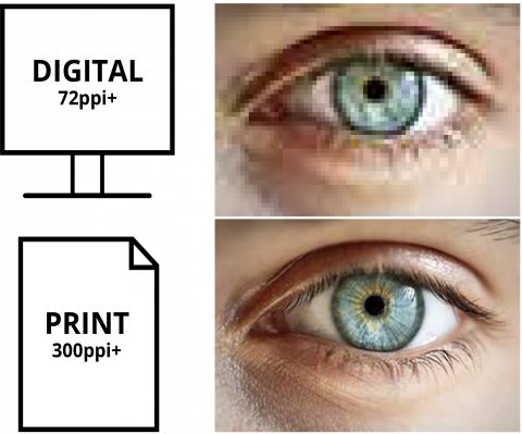Detail from a photo which shows the difference in sharpness between 72 pixels per inch (top) and 300 pixels per inch (bottom).