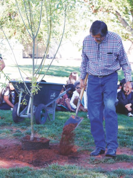 Mr. Hubbard, who was driving the bus when they were hit, pours dirt on the base of Kiarra's tree.
