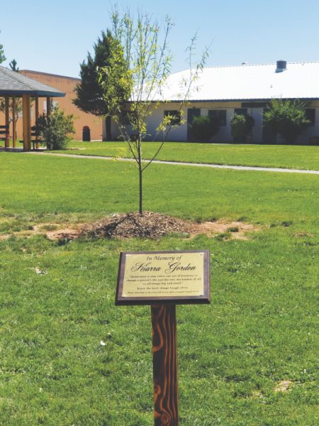 Kiarra's plaque stands in front of a Navajo globe willow planted in honor of her memory.