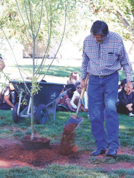 El Sr. Hubbard, que conducía el autobús cundo ocurrió el desastre, vierte tierra en la base del árbol de Kiarra.