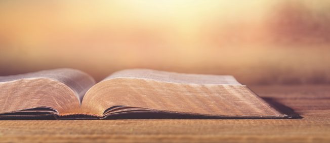Open Holy bible book on background