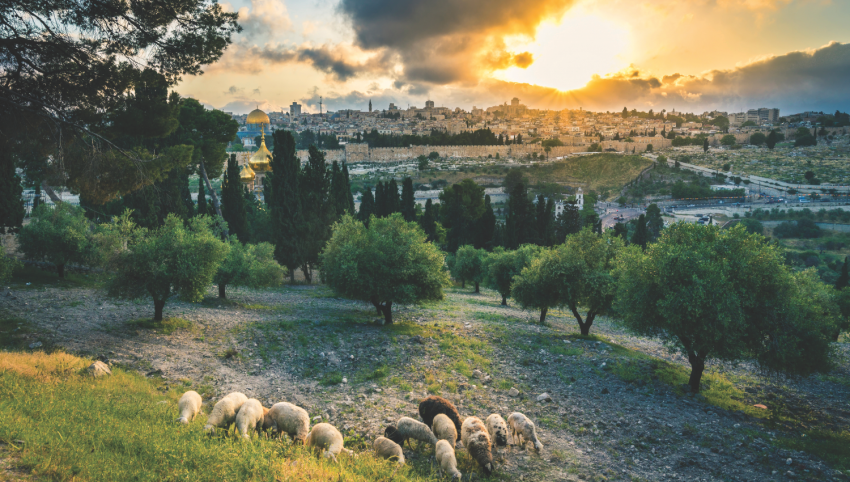 <p>Jerusalem and Mount of Olives</p><p>Jerusalen y el Monte de los Olivos</p>