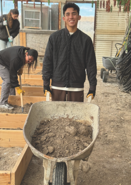 Sophomore Emmanuel Cueva works in the La Vida greenhouse.