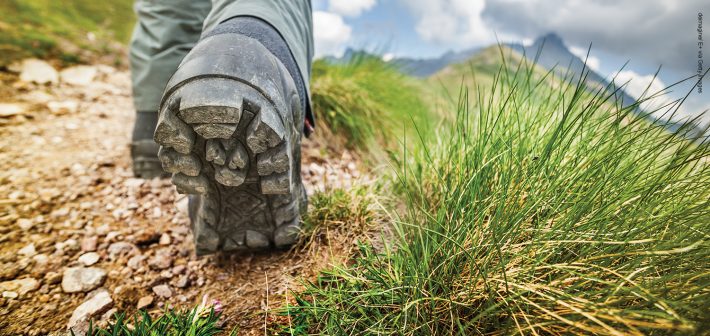 Hikers on the path.