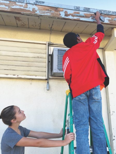 Students scrape old paint off the church.