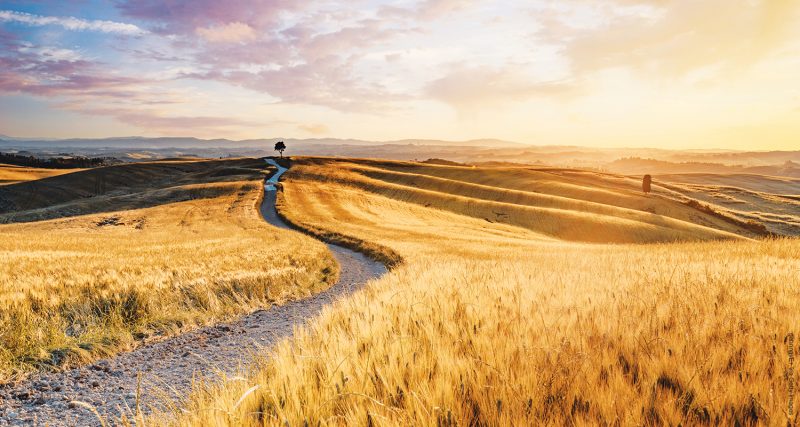 Tuscany Landscape At Sunset - Crete Senesi