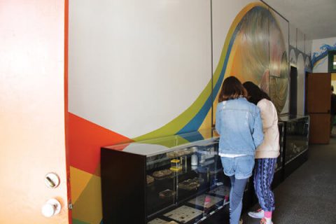 Two students check out a display in the hallway that connects the three labs in the STEM Innovation Center.