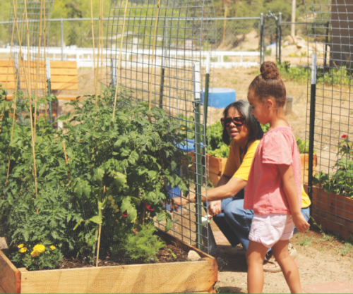 Gardening was a new class offered this year at summer camp.