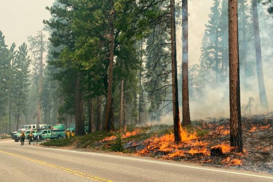 Washburn Fire Update: Camp Wawona