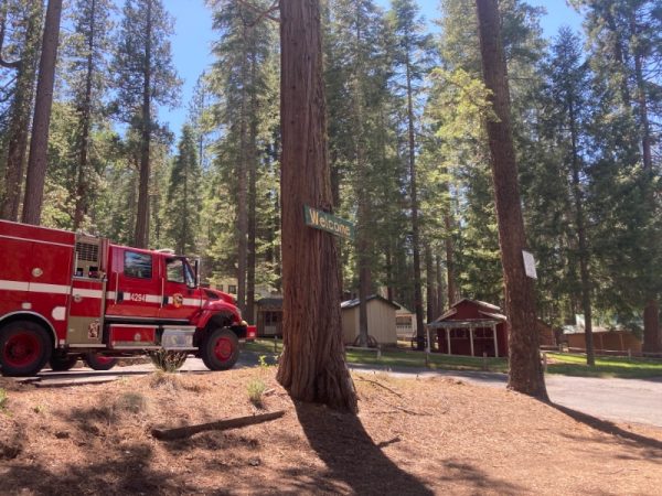 Camp Wawona
