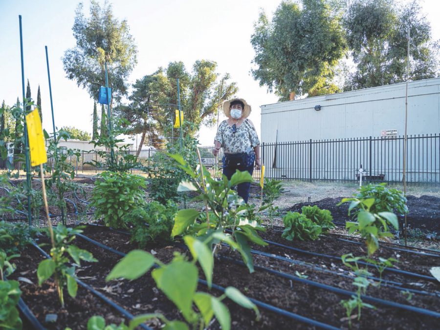 The new initiative will be based out of the Jardín de la Salud community garden in San Bernardino.