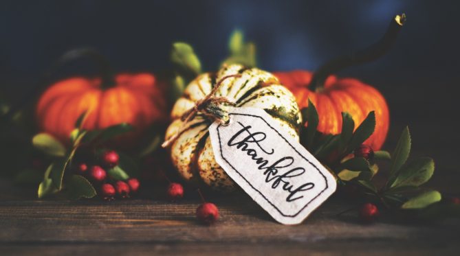 Pumpkin assortment still life and thankful message