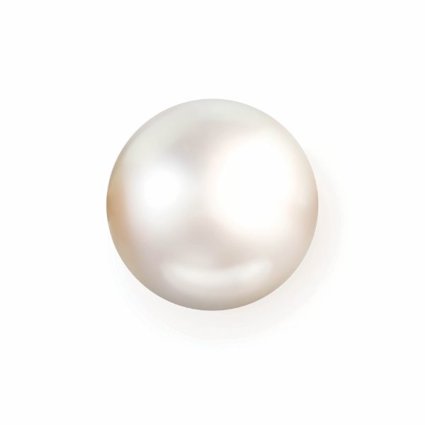 Single white pearl isolated on white background